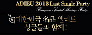 대한민국 名品엘리트 싱글들과 함께하는 ADIEU 2013 Last Single Party!