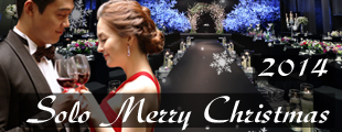 2014 Solo Merry Christmas