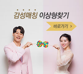 이상형찾기
